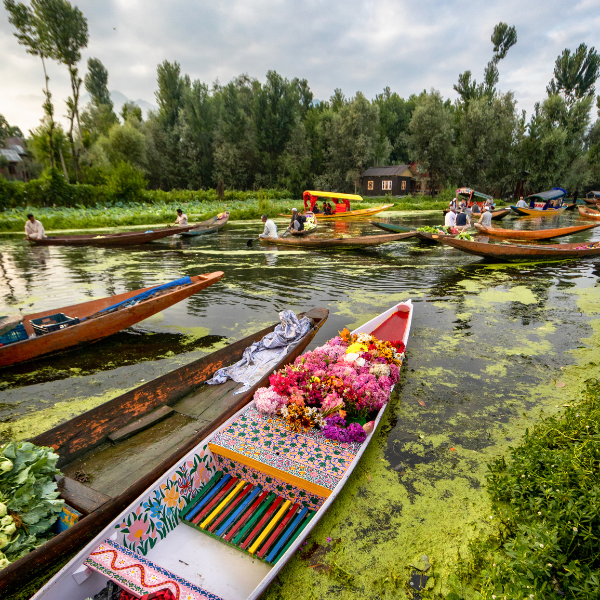 Crown of Himalaya Tour